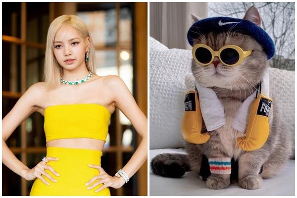 Độc thân càng lâu sự nghiệp càng thăng hoa, đó là tuổi nào?-4