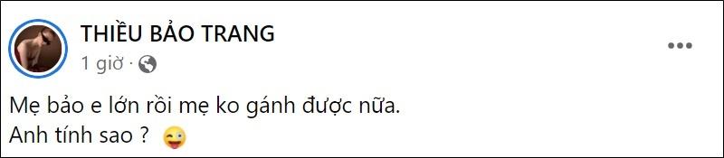 Giữa tin đồn yêu Đức Huy, Thiều Bảo Trang làm gì Valentine?-5