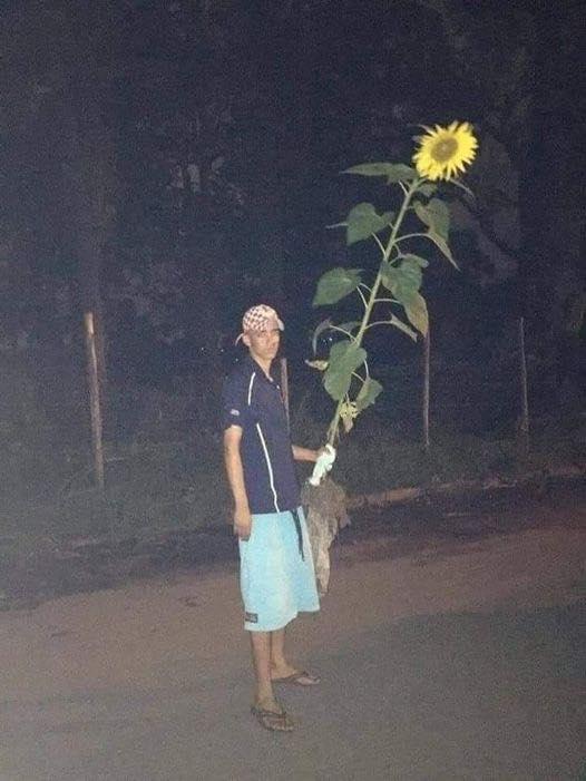 Những món quà Valentine độc lạ khiến hội chị em phát hờn-8