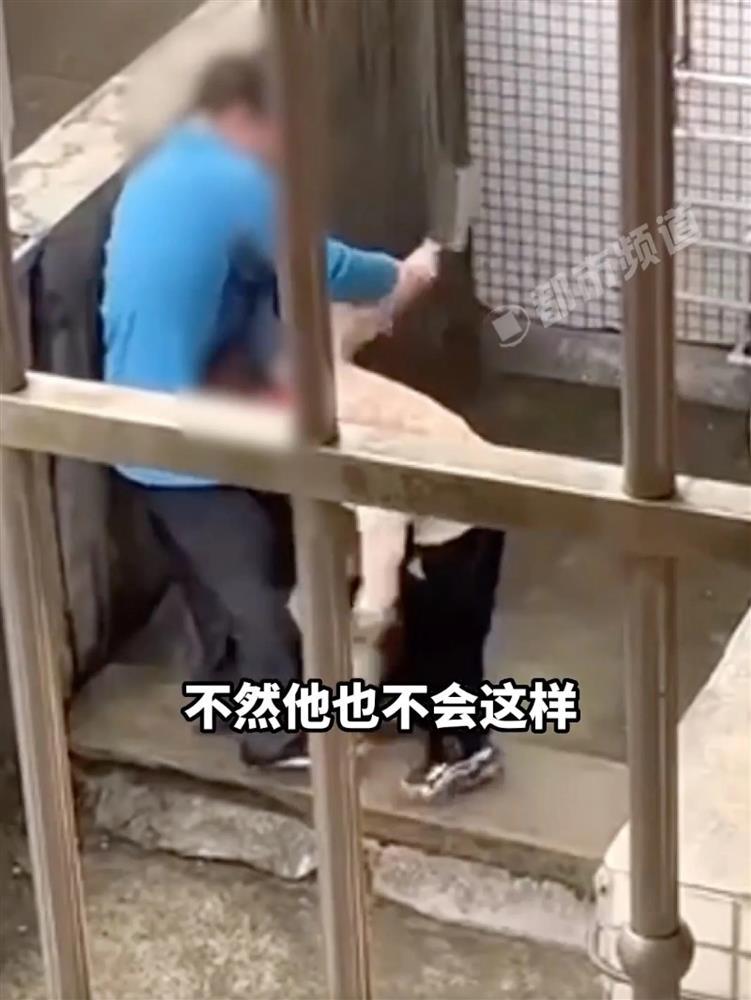 Bị cấm chơi game, con học tiểu học cầm dao tay đôi với cha-2