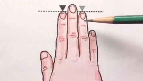 Độ dài ngắn giữa ngón trỏ và ngón đeo nhẫn hé lộ điều gì?-1
