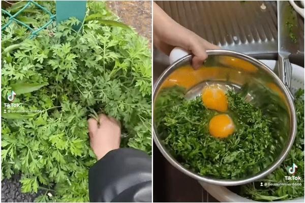 Sinh viên Việt ở Nhật ăn cỏ dại, dân bản địa tròn mắt ngạc nhiên-1