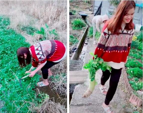 Sinh viên Việt ở Nhật ăn cỏ dại, dân bản địa tròn mắt ngạc nhiên-3