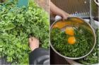 Sinh viên Việt ở Nhật ăn 'cỏ dại', dân bản địa tròn mắt ngạc nhiên