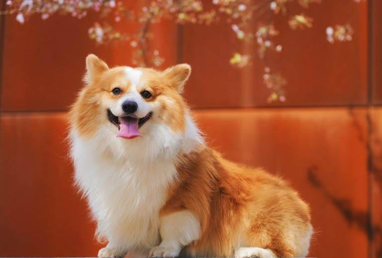 Trời sinh 3 tuổi ăn lộc kinh doanh: Làm công lận đận, làm chủ hái tiền-3