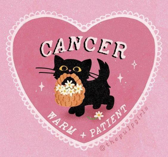 Lật mở tấm bản đồ chỉ dẫn 12 chòm sao đến vùng đất của sự thành công-4