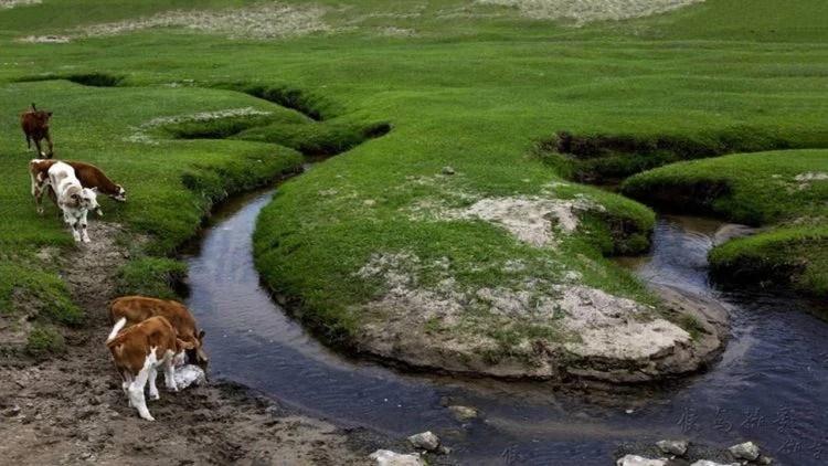 Con sông hẹp nhất thế giới chỉ rộng vài centimet, tồn tại suốt 100 thế kỷ-4