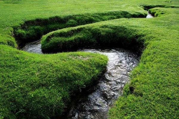 Cảnh đẹp hiếm có ở bãi đá rạn Nam Ô hút hồn giới trẻ Đà Nẵng-9