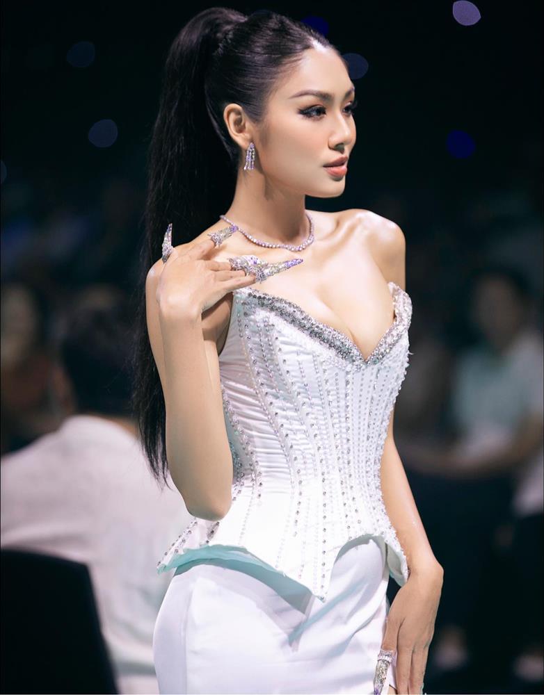 Lời đồn là thật, Thảo Nhi Lê quá khó đến với Miss Universe-3