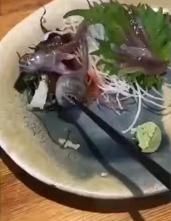 Đầu bếp nói gì khi khách dùng đũa gắp mà cá há miệng cắn lại-1