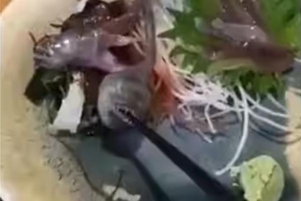 Góc khuất công việc lương cao của đầu bếp trên du thuyền nhà giàu-4