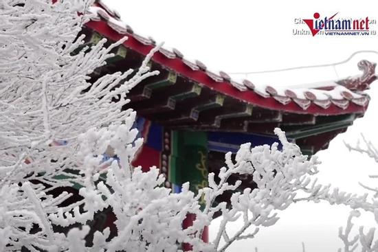 Ngắm cảnh tuyết phủ trắng xóa như xứ sở thần tiên