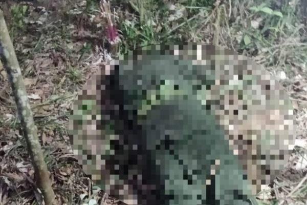 Xôn xao chiến sĩ nghĩa vụ tử vong sau 10 ngày nhập ngũ-1