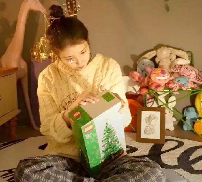 IU bị tố lừa dối fan trong khi đi chơi với Lee Jong Suk-2