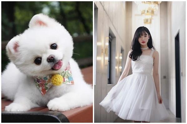 Gừng càng già càng cay 3 tuổi hậu vận vượng phát, giàu nứt đố đổ vách-4