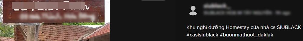 Loạt hình ảnh Siu Black vất vả nuôi heo, làm nước mắm-6