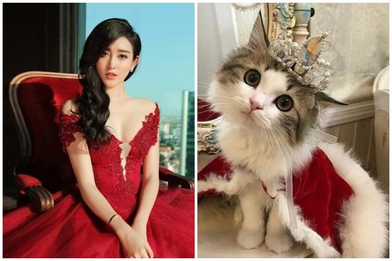 Tử vi hàng ngày 12 con giáp thứ Ba 21/2/2023: Nuôi ong tay áo