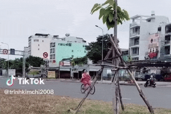 Người phụ nữ đi xe đạp sang đường gây xôn xao mạng xã hội-1