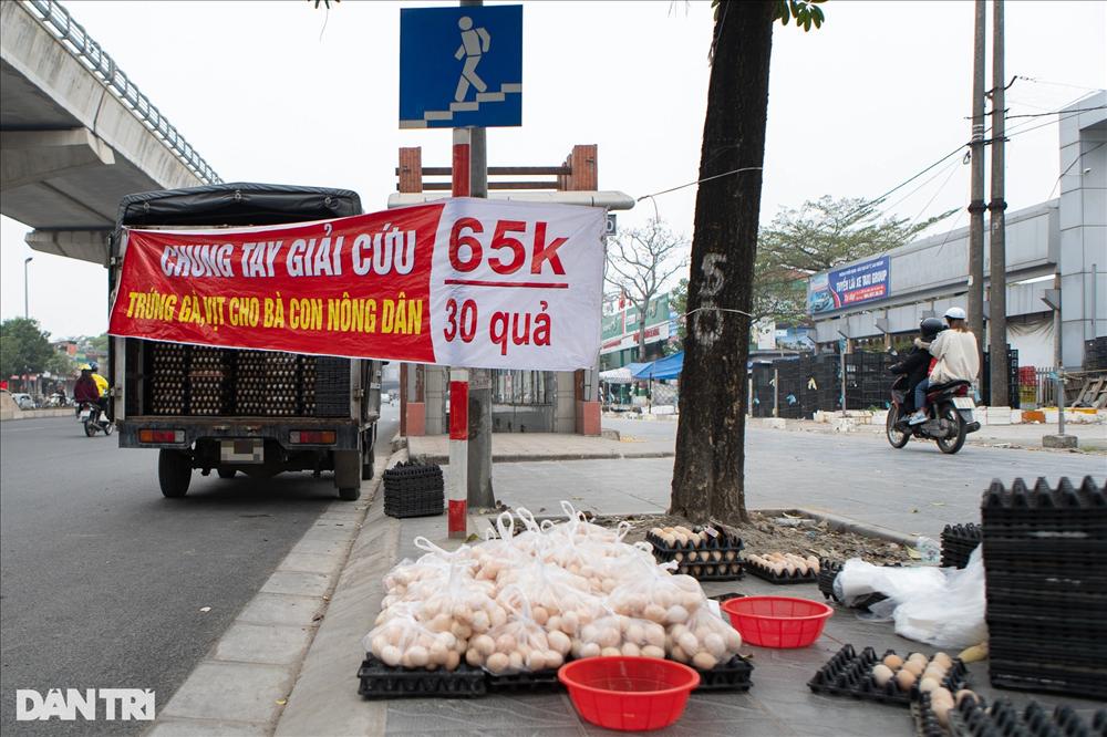 Sự thật chiêu giải cứu trứng gà giá siêu rẻ bán tràn vỉa hè Hà Nội-1