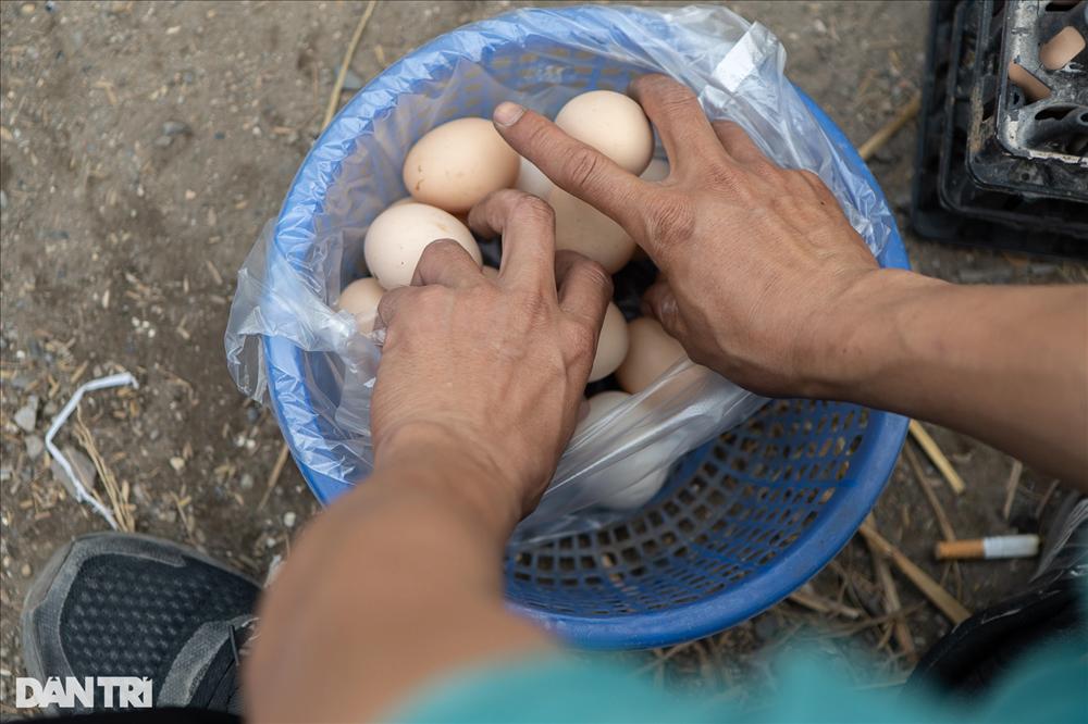 Sự thật chiêu giải cứu trứng gà giá siêu rẻ bán tràn vỉa hè Hà Nội-3
