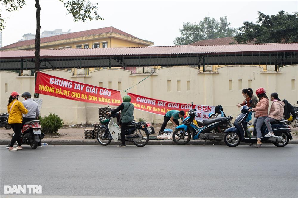 Sự thật chiêu giải cứu trứng gà giá siêu rẻ bán tràn vỉa hè Hà Nội-8