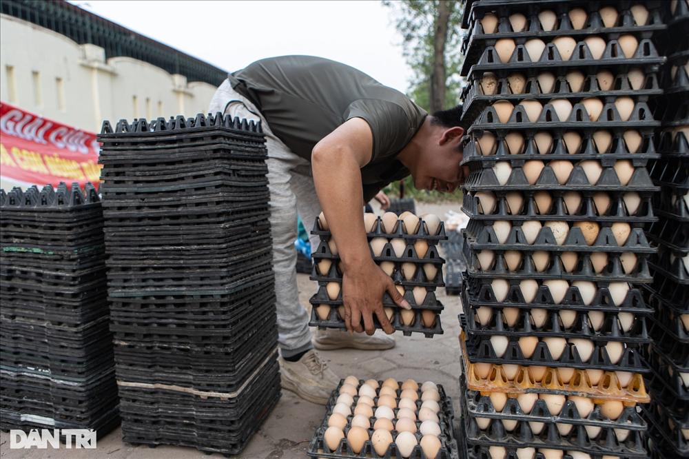 Sự thật chiêu giải cứu trứng gà giá siêu rẻ bán tràn vỉa hè Hà Nội-12