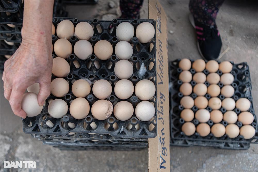 Sự thật chiêu giải cứu trứng gà giá siêu rẻ bán tràn vỉa hè Hà Nội-14
