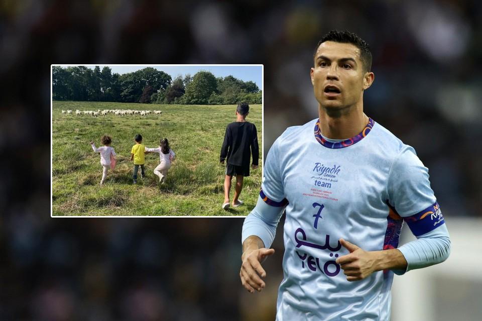 Bị dê xâm chiếm, Ronaldo đành bán biệt thự 150 tỷ-1