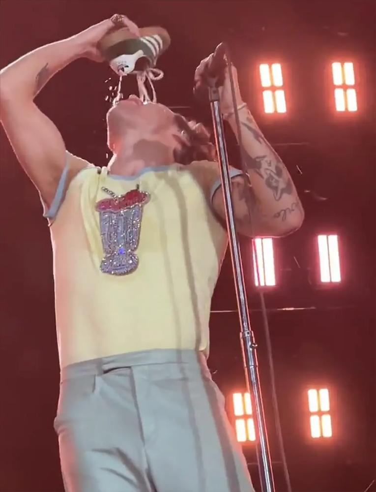 Harry Styles uống nước từ giày trong concert ở Australia-1