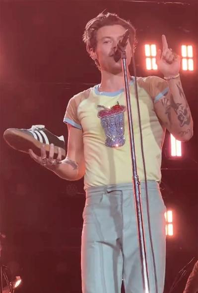 Harry Styles uống nước từ giày trong concert ở Australia-2