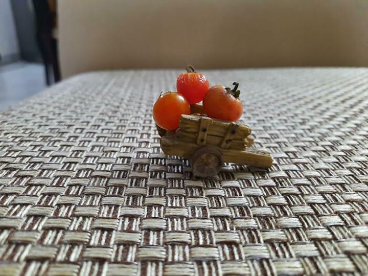 Hết lòng chăm bẵm cây chờ thu hoạch, kết quả chẳng bõ nhét kẽ răng-4