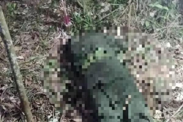 Xúc động lá đơn xin nhập ngũ của chàng trai mồ côi cả cha lẫn mẹ ở Nghệ An-2