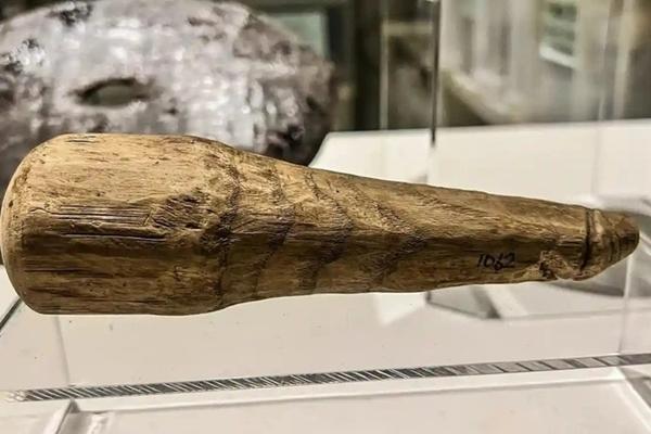 Bỏ 300 nghìn mua đống giẻ rách, chuyên gia sốc nặng khi biết giá trị thực hơn 3.000 tỷ-3