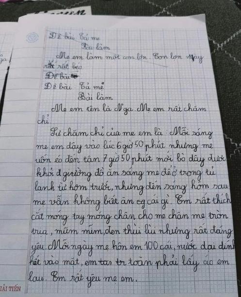 Nhóc tiểu học làm văn tả mẹ, tưởng khen hóa ra chê mạnh-1