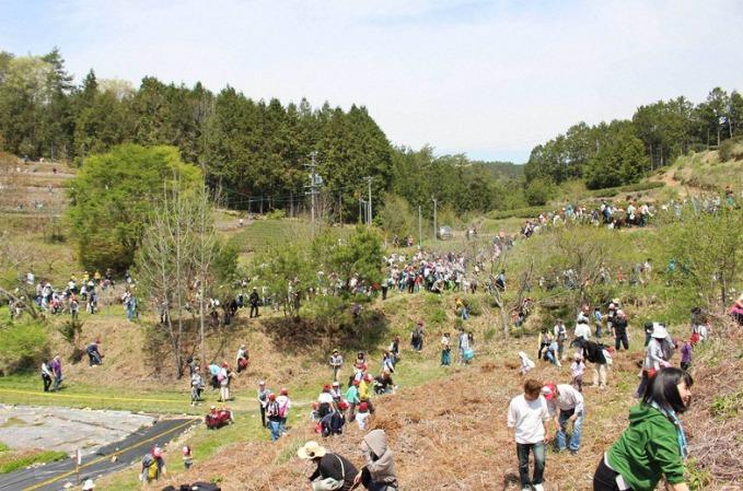 Lễ hội Nhật Bản treo thưởng 10.000 USD bắt sinh vật giống rắn-2