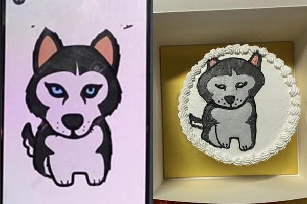 Bị chó hoang tha mất suất cơm, cô gái ngỡ ngàng tình huống bất ngờ-2