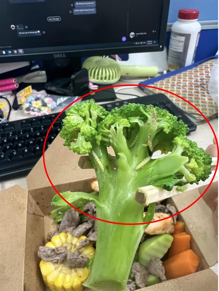 Đặt suất ăn healthy, cô gái giật nảy vì sinh vật lạ ngo ngoe trên rau-4