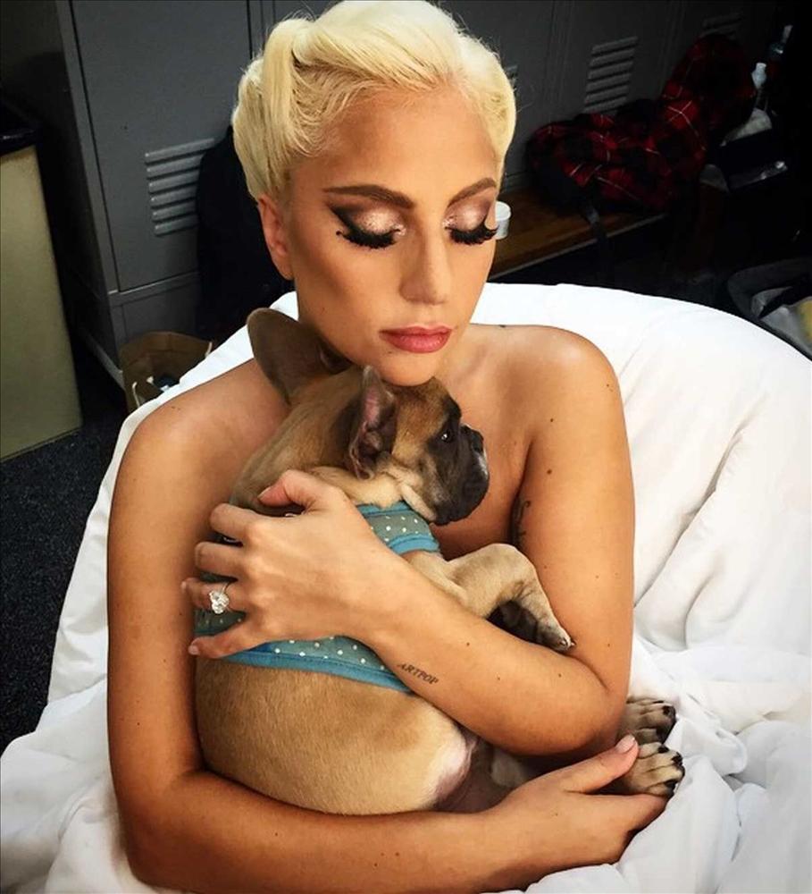 Lady Gaga bị kiện vì quỵt 11 tỷ tiền chuộc cho kẻ trộm thú cưng-2