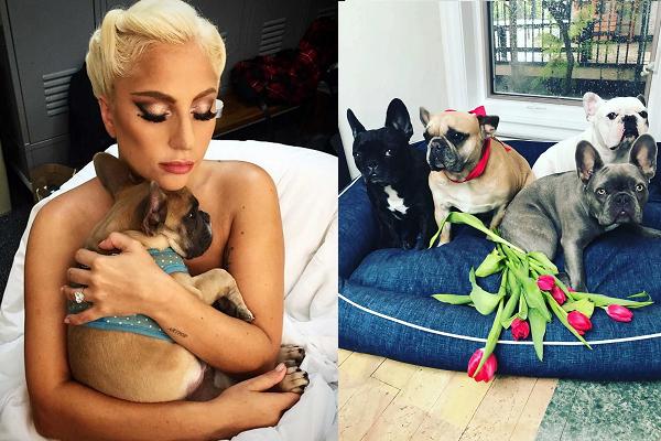 Lady Gaga mở lòng về những khó khăn thời đại học-5