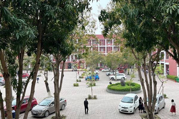 Đình chỉ công tác cô giáo bắt học sinh đứng vì tiền tài trợ giáo dục-2