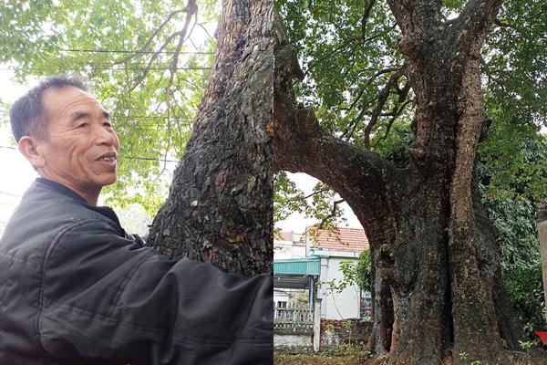 Thuê thợ cải tạo căn bếp, đôi vợ chồng phát hiện báu vật 400 năm-4