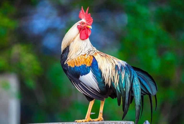 Ngày 27/2 tình thắm duyên nồng, 3 tuổi hạnh phúc trào dâng-3