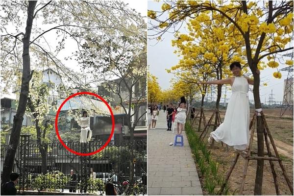 Khách đổ xô chụp ảnh cánh đồng tam giác mạch trái mùa ở Hà Nội-10