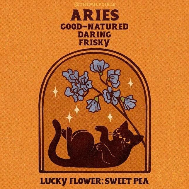 Nét cuốn hút độc quyền 12 cung hoàng đạo khiến người đối diện si mê-1