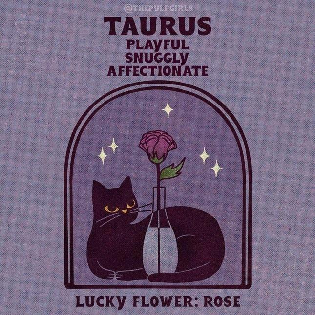 Nét cuốn hút độc quyền 12 cung hoàng đạo khiến người đối diện si mê-2