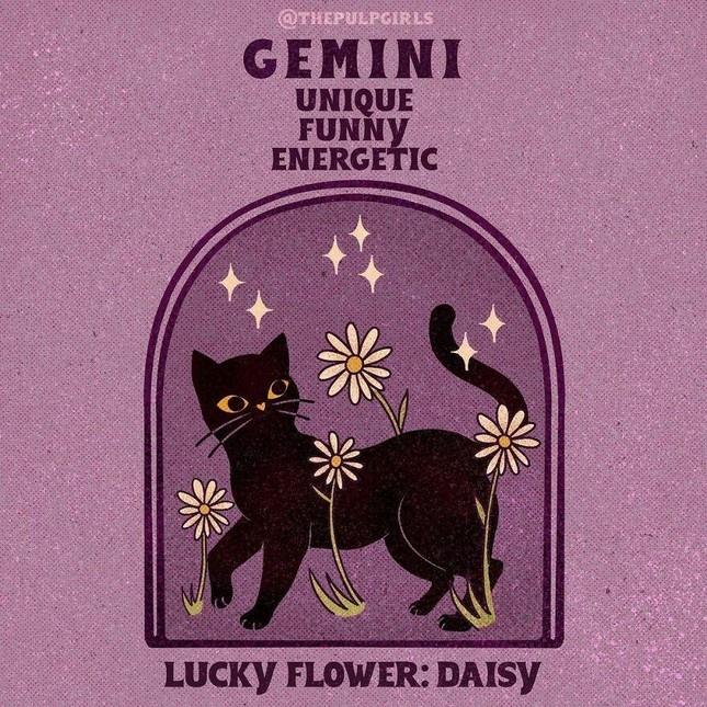 Nét cuốn hút độc quyền 12 cung hoàng đạo khiến người đối diện si mê-3