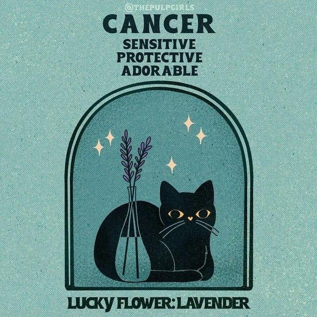 Nét cuốn hút độc quyền 12 cung hoàng đạo khiến người đối diện si mê-4