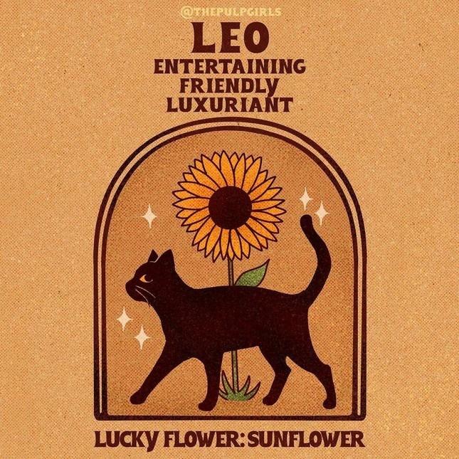 Nét cuốn hút độc quyền 12 cung hoàng đạo khiến người đối diện si mê-5