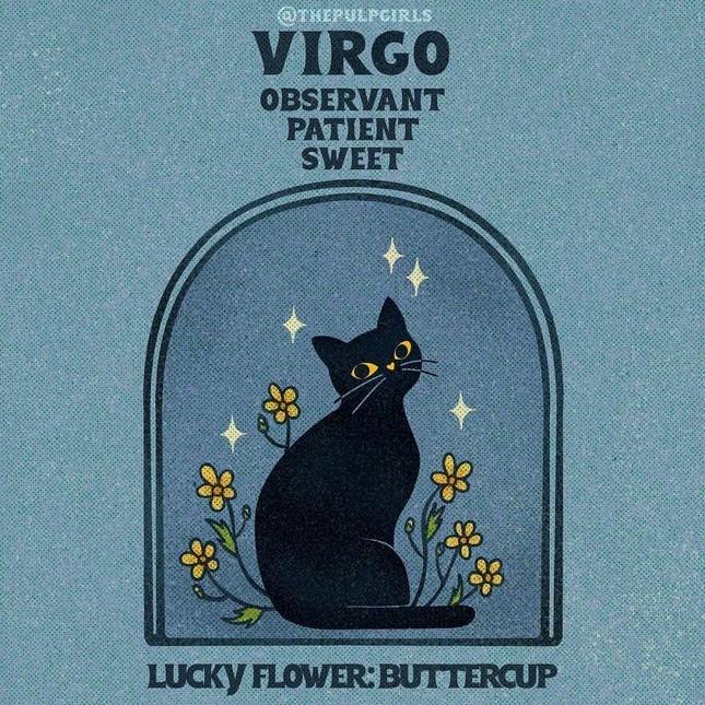 Nét cuốn hút độc quyền 12 cung hoàng đạo khiến người đối diện si mê-6