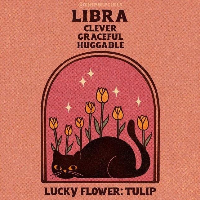 Nét cuốn hút độc quyền 12 cung hoàng đạo khiến người đối diện si mê-7